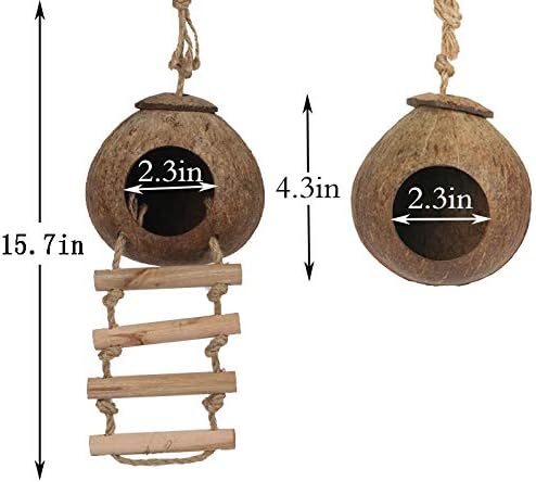 Hamiledyi Lizard Coco Den Reptile Hideouts Gecko Coconut Shell Hut Coconut hut for Geckos Bearded Dragon Tank Accessories Coconut Lizard Hut with Ladder - Natural Coconut Fiber