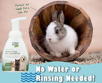 Citrus Magic Pet Rinse-Free Pet Shampoo, 8 Fluid Ounce, 2 Pack