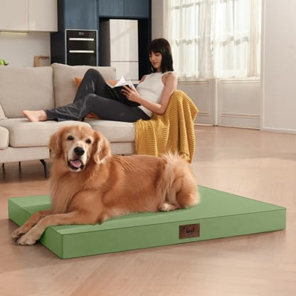 Outdoor Extra Large Dog Bed XXL for Giant Breed Dogs