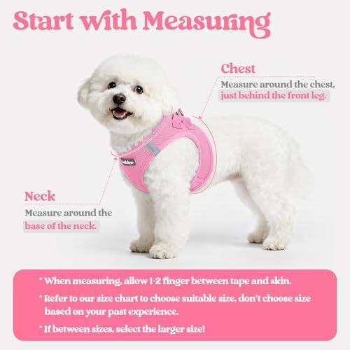 rabbitgoo Dog Harness Medium Sized and Leash Set, Step-in Puppy Pet Vest