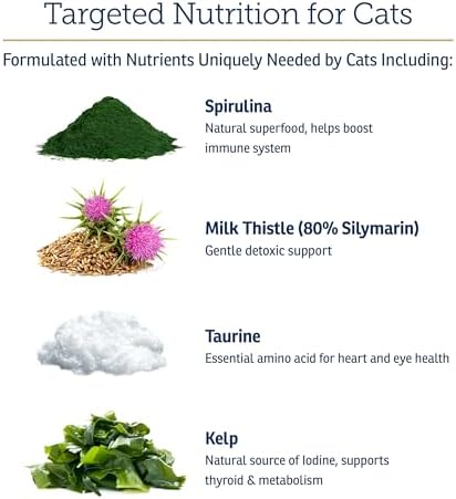 Rx Vitamins Essentials for Cats - Cat Multivitamin & Multimineral - 4oz