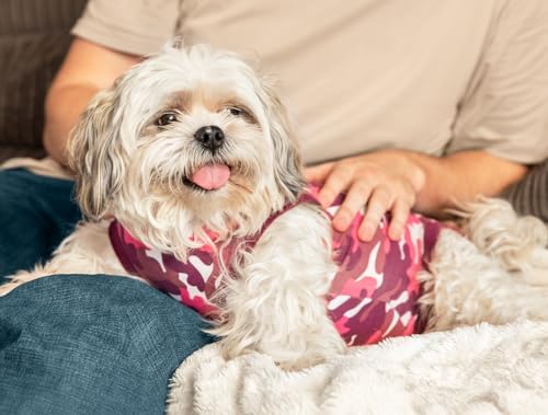 Suitical Recovery Suit for Dogs - Spay and Neutering Dog Surgery Recovery Suit for Male or Female - Soft Fabric for Skin Conditions - XS, Neck to Tail 15.7-17.7 Inch, Chest 18-24 Inch -Pink Camouflage