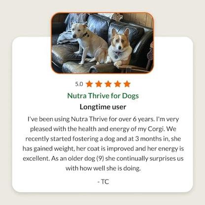 Ultimate Pet Nutrition Nutra Thrive Canine 40-in-1 Multivitamin Powder