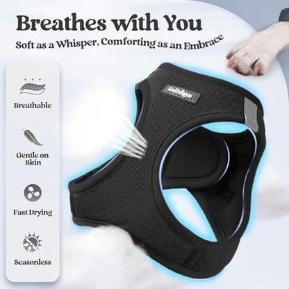 rabbitgoo Dog Harness Small Sized and Leash Set, Step-in Puppy Pet Vest