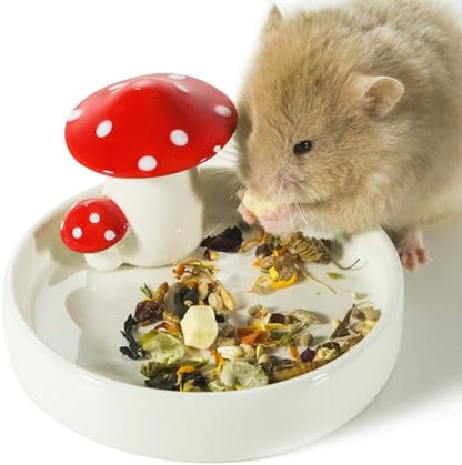 Niteangel Hamster Feeding & Food Bowls: Mushroom Ceramics & Chew-Resistant