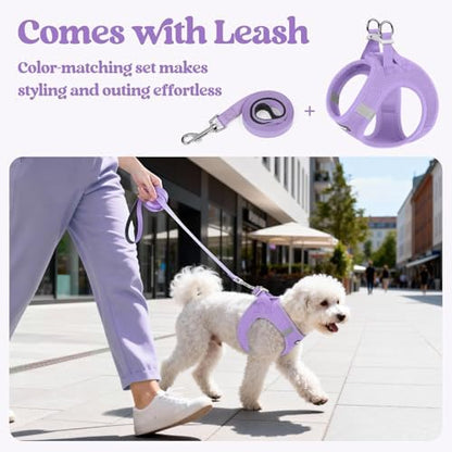 rabbitgoo Dog Harness Medium Sized and Leash Set, Step-in Puppy Pet Vest