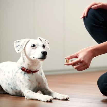 Milk-Bone MaroSnacks Peanut Butter Flavor (Artificially Flavored) Dog Treats with Real Bone Marrow, 40 Oz. Canister (Pack of 2)