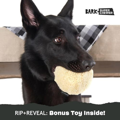 BarkBox Smashed Potato 2-in-1 Durable Plush Dog Toy