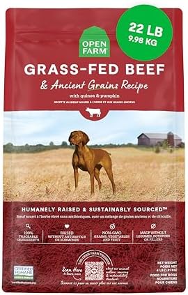 Open Farm Ancient Grains Dry Dog Food, Grass-Fed Beef Kibble, 22lb Bag