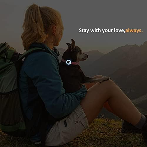 2022 Airtag Cat Collar Holder, Small Air Tag Compatible With Apple GPS Tracker, 2Pack Waterproof Case Cover for Pet Collar Within 3/8 Inch (Black, Pink, Purple, Lumiblue)