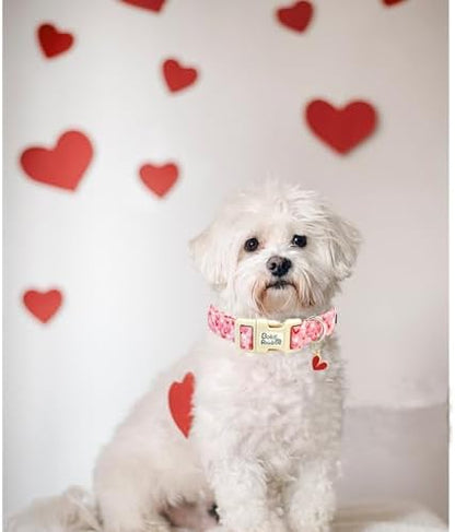 Valentine's Pink Line Love-Heart Dog Collar for Small Dogs