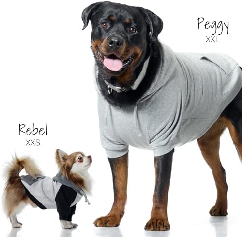 Pet Passion Rocky II Dog Hoodie, Pink Color Block, Medium