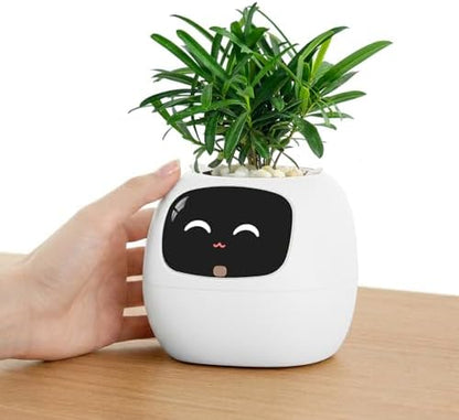 Ivy Interactive AI Desk Companion & Smart Plant Pet Indoor Planter Ivory