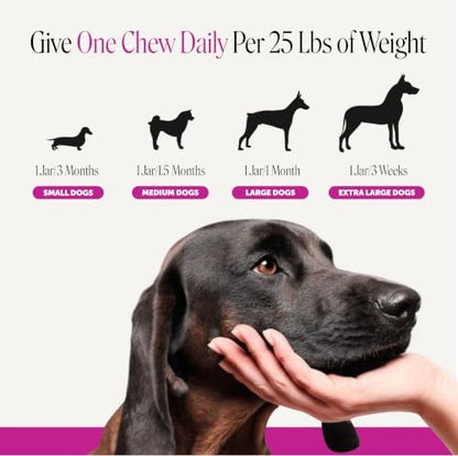 Pet Honesty Vet Recommended Max Strength Dog Multivitamin, 90 Ct, Salmon
