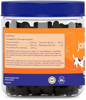 PupGrade Joint Support for Dogs, Beef Flavor - 60 Soft Chews