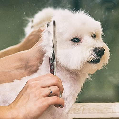 Gimars Professional 4CR Stainless Steel 6 in 1 Grooming Scissors for Dogs with Safety Round Tip, Heavy Duty Titanium Coated Pet Grooming Scissor for Dogs, Cats and Other Animals