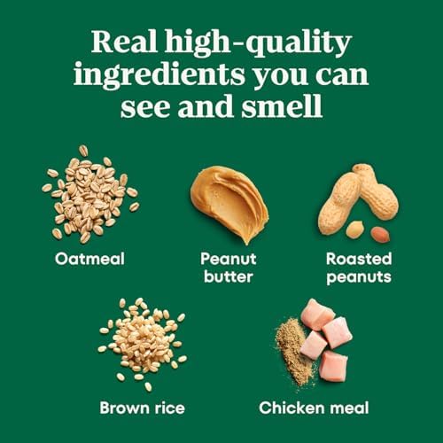 Nutro Crunchy Dog Treats with Real Peanut Butter, 10 oz