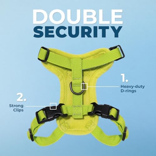 Best Pet Supplies Voyager Step-in Lock Pet Harness w Reflective Pet Leash Combo Set with Neoprene Handle 5ft - Supports Small, Medium and Large Breed Puppies/Cats - Lime Green, XL