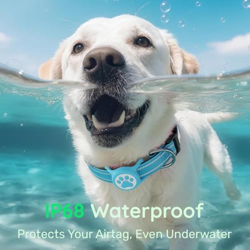 Premium Airtag Dog Collar，with IP68 Waterproof AirTag Holder,Blue,XL