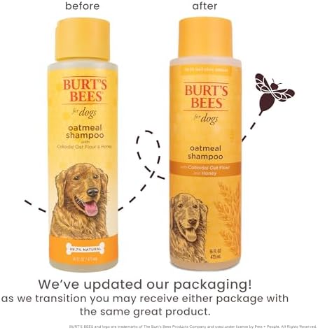 Burts Bees for Pets Oatmeal Dog Shampoo with Honey, 16 Fl Oz, 6-Pack