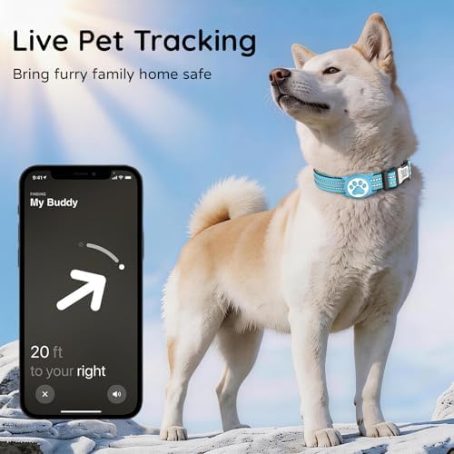 Waterproof AirTag Dog Collar with QR Code Dog Tag, Blue02 L