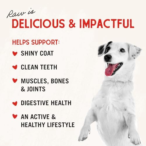Stella & Chewy's Freeze-Dried Raw Chicken Heart Dog Treats - Single Ingredient, No Additives - Premium Training Treats - Perfect For Picky Eaters - 3oz Bag