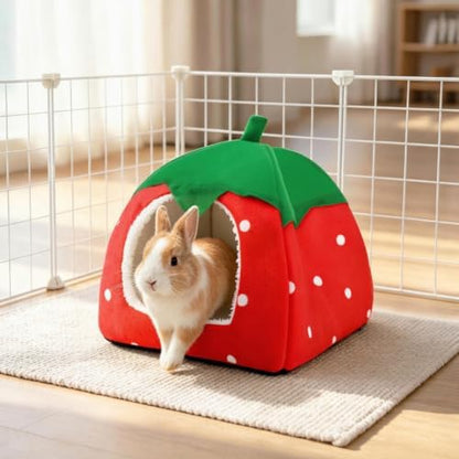 Guinea Pig Hideout, 2 Pack Dwarf Rabbit House Bed