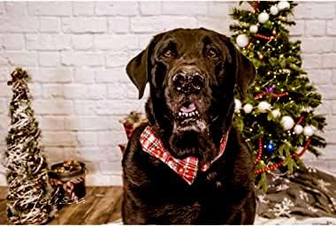 Lionheart glory Christmas Plaid Dog Collar Adjustable Soft Dog Collar with Bowtie, Pet Gift Dog Collars Bow for Small Medium Large Dogs