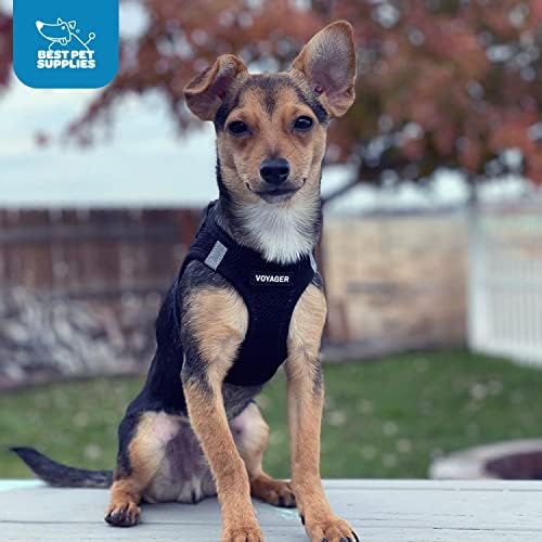 Voyager Step-in Air Dog Harness w/Leash - All Weather Mesh Step in Vest Harness for Small and Medium Dogs by Best Pet Supplies - Black, M (Pack of 2)