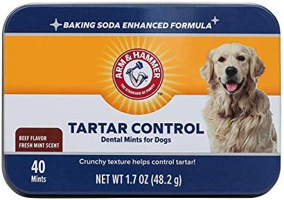 Arm & Hammer Tartar Control Dental Mints for Dogs, Beef Flavor, 40 Count