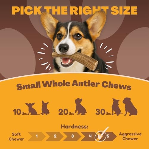 Whitetail Naturals 3 Pack Whole Deer Antler Chews for Small Dogs - 4-6"