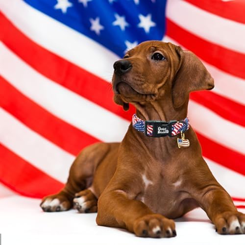 Independence Dog Collar-USA Flag Print Pet Collar Adjustable Cute Soft Comfortable Cotton Collars Holiday Puppy Collar Gift for Large Dogs