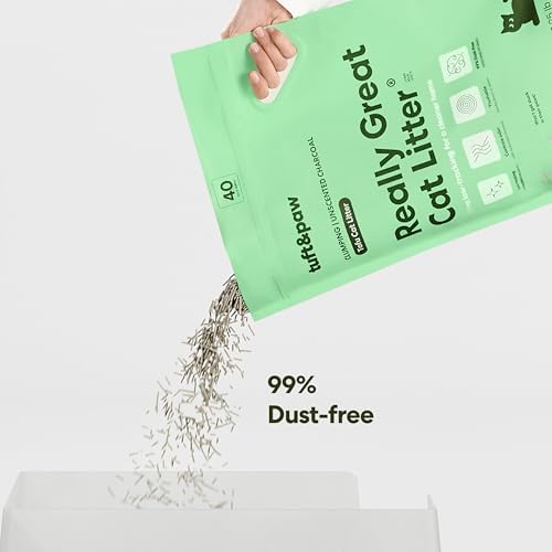 Tuft & Paw Really Great Cat Litter, Ultra Low Tracking Tofu Cat Litter, Clumping, Flushable, Odor Control, Dust-Free, Unscented - 9.25lbs x 2Bags (Charcoal)