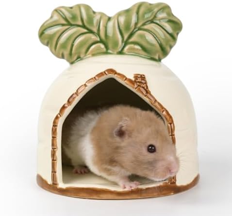 Ceramic Hamster Hideout Carrot Chew Proof Syrian Hide Cool Bed