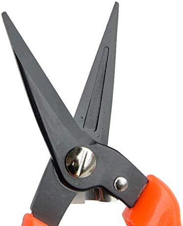 Hoof Trimmers Goat Hoof Trimming Shears Nail Clippers for Sheep, Alpaca, Lamb, Pig Hooves Multiuse Carbon Steel Trimmer (Pack of 2)