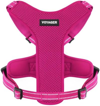 Air Frontier Mesh Dog Harness with Steel Leash D-Ring, Reflective Stitching, and Lightweight Breathable No-Pull Design, Adjustable Neck and Chest Straps for Small to Large Breeds - FSW, S