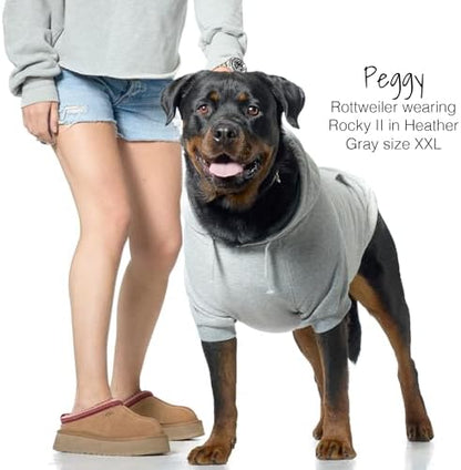 Pet Passion Rocky II Dog Hoodie, Heather Grey, X-Small
