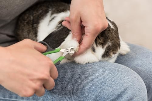 TRIXIE Pet Grooming Nail Clippers, for Small Dogs, Cats, Small Animals, and Birds, 3" (8cm) (Pack of 2)