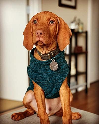 Gooby Zip-Up Fleece Dog Sweater, Gray Wash, 2X-Large