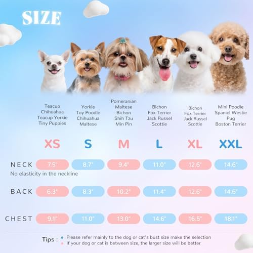 2 Pack Floral Dog & Cat Dress with Tutu Skirt - Breathable Stretch Pet Clothes for Small Dogs Girl Cats & Puppies Birthday Party Outfit (2pack,Pink&Blue,XX-Large)