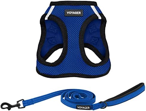 Best Pet Supplies Voyager Step-in Air All Weather Mesh Harness and Reflective Dog 5ft Leash Combo with Neoprene Handle, for Small, Medium and Large Breed Puppies - Royal Blue/Black Trim, Small