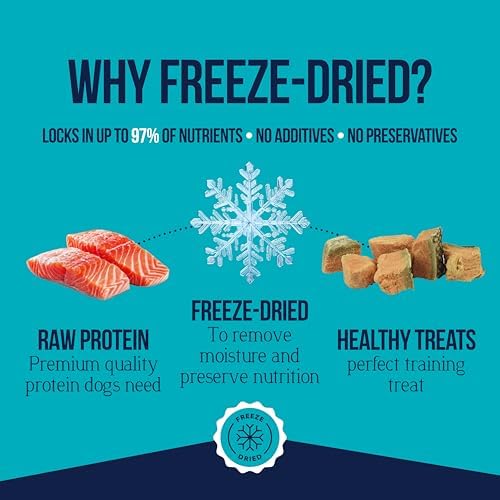 Stewart Freeze Dried Dog Treats, 100% Wild Salmon, 9.5oz Tub (2 Pack)
