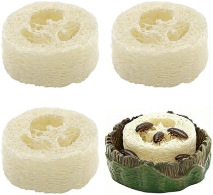 Cockroach Water Basin & 3 Loofah Set, Dubia Roaches Live Habitat Reptile Container Supplies for Terrariums & Enclosures, Comfortable Habitat for Roaches Live, Isopods, Springtails, Crickets
