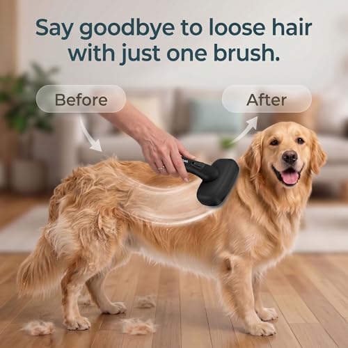 Self Cleaning Slicker Brush for Dog and Cat Shedding, Black
