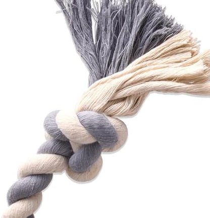 Pet Passion Natural Rubber Tire and Organic Cotton Rope Pull and Chew Dog Toy for All Pet Breeds, Gray, Small