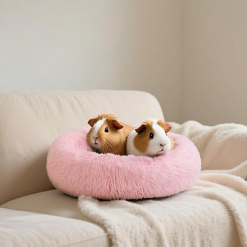 Bunny Bed Large Rabbit Hideout Soft & Comfortable
