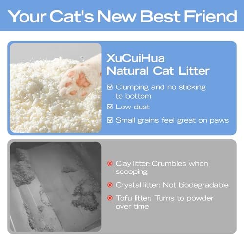 XuCuiHua Natural Cat Litter Unscented, 100% Plant-Based, Strong Clumping Litter, Easy Scooping, Clumps Lift Cleanly, Chemical-Free, Low Dust, Corn & Cassava Litter, 5.5 LB