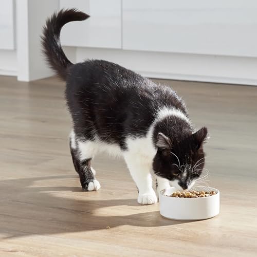 Open Farm RawMix Dry Cat Food, Open Prairie Grain Free Kibble, 8lb Bag
