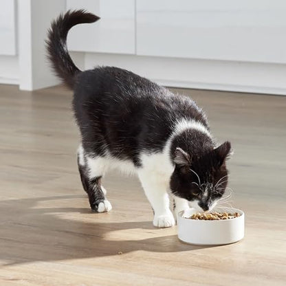 Open Farm RawMix Dry Cat Food, Open Prairie Grain Free Kibble, 8lb Bag