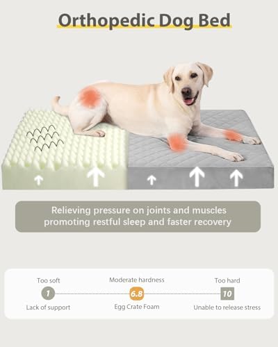 NUPIDA Orthopedic XXL Dog Beds for Crate with Washable Cover, 47x29, Grey